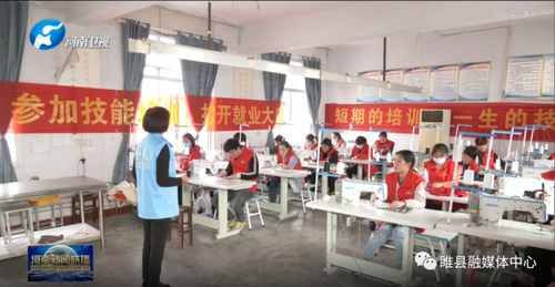 河南 拓寬就業(yè)路 引得燕回巢