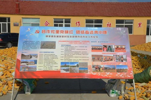 虎山鎮召開 作風大改進 問題大整改 工作大提升 行動推進會